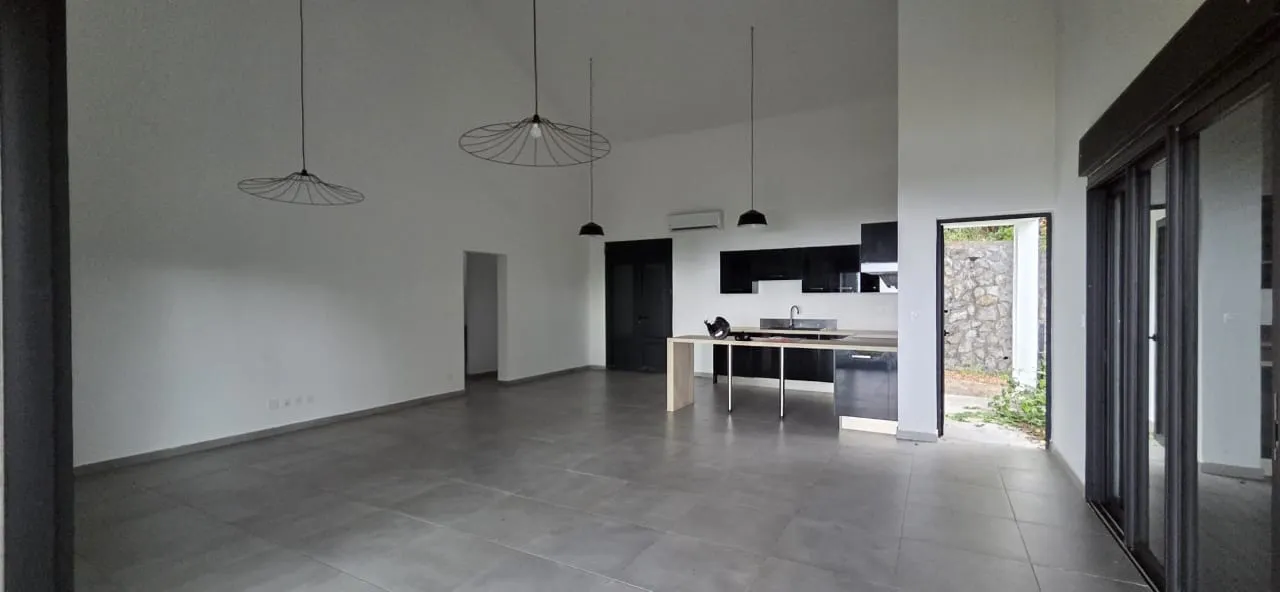 Séjour & cuisine ouverte — Villa contemporaine avant